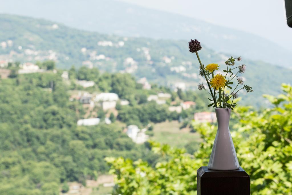 Hotel San Stefano Tsagarada Pokój zdjęcie
